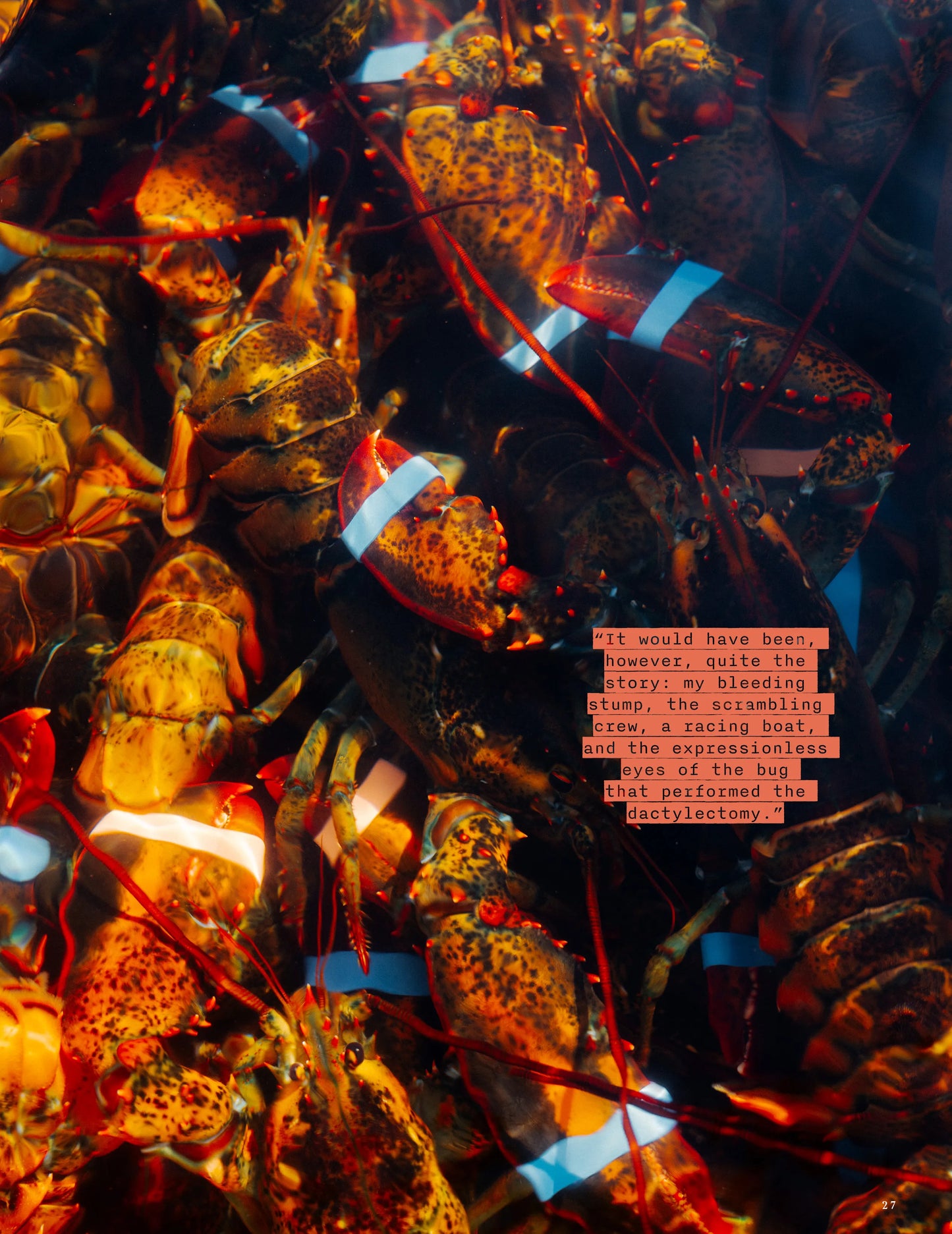 Winter Coffee Table 25/26